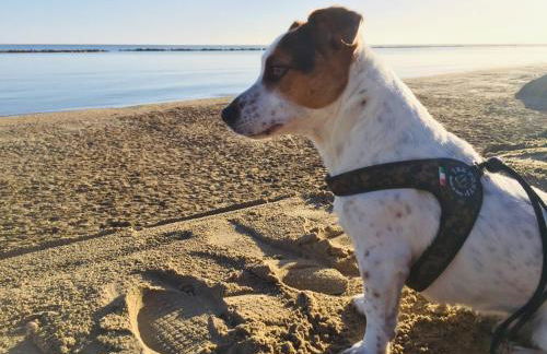 La Casa di Pamy - Foto 50