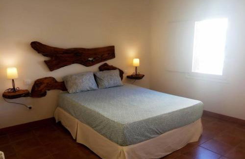 El Olivo - Photo 5