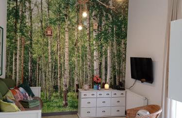 Studio Leśne - Foto 1