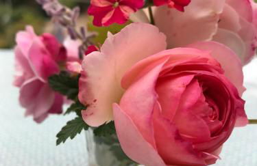 Loire Valley Medieval Getaway - Photo 13