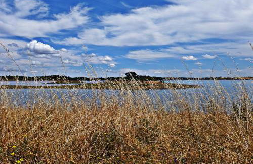 Casa do Avô Tó - Foto 44