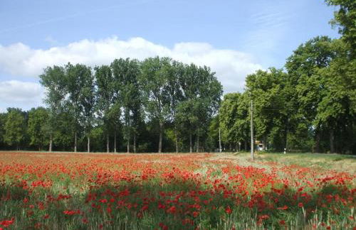 Holiday Home Oderhäuschen by Interhome - Photo 24