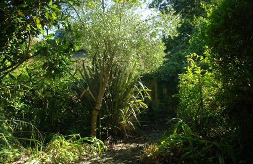 Abbotscot, near Bantham, an eccelectic property with a lovely garden - Foto 7