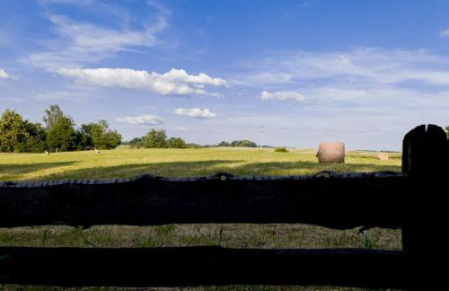 Kamienna Chata - Foto 12