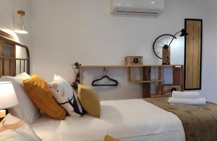 LARANJEIRA das LOIRAS - Foto 55