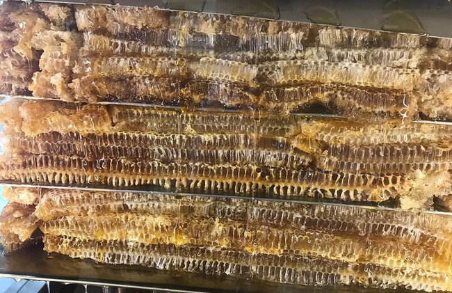 Vallée des papillons et vin, huile d'olive, visite de dégustation de miel (petit groupe) - Photo 17