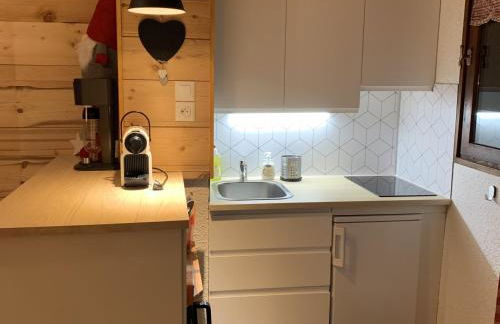 Studio confortable à Samoëns 1600 pour 4 personnes - FR-1-846-3 - Foto 6