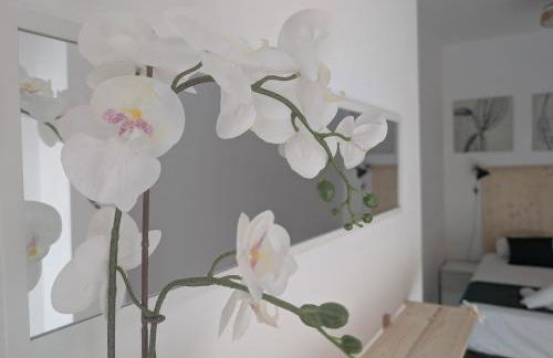 Bilbao Base EBI3369 - Foto 43