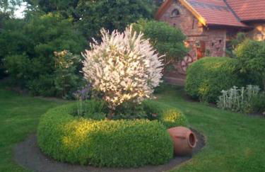 Ferienhaus Rosengarten - Foto 9