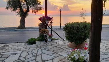 Γοργονα - Foto 4