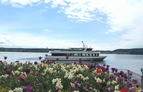 Ferienwohnung am Waldrand - Foto 25
