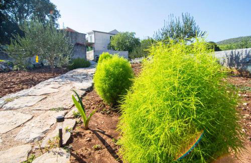 Apartmani Perkovic - Foto 28