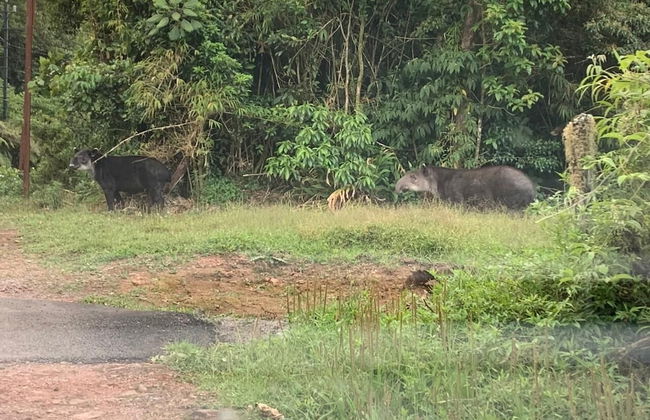 Chalets Vistas del Poas - Foto 22