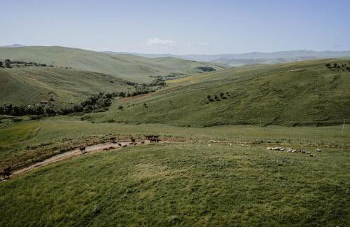 Antico Feudo San Giorgio - Foto 25