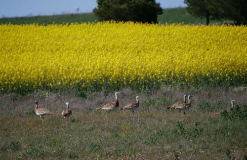 La casa de tus sueños - Foto 3
