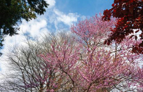 Casa del Borgo "Terra & Fuoco" sul Lago Maggiore - Foto 43