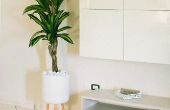 Your Penthouse - Foto 29