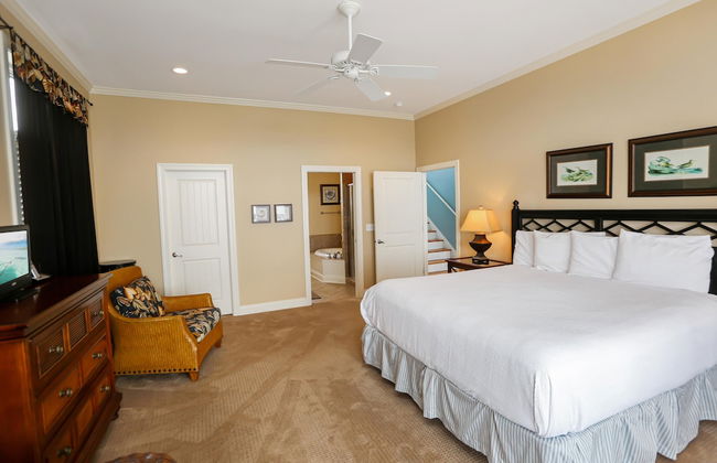 A Turtle View - Foto 6