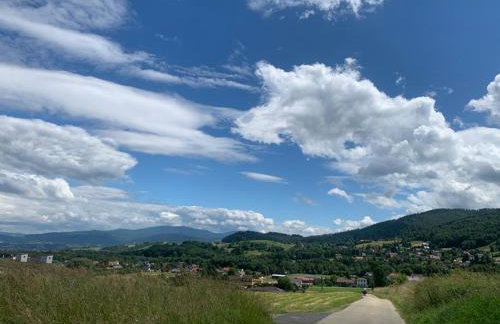 Lipowa Nest - Foto 28