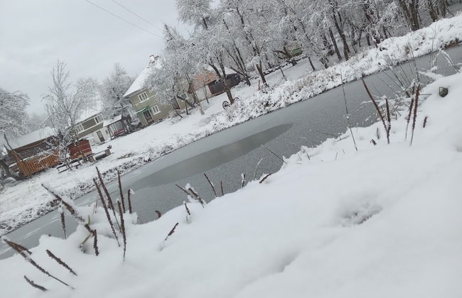 Room in Guest Room - Healthy Retreat Holiday in Mountain - Foto 77