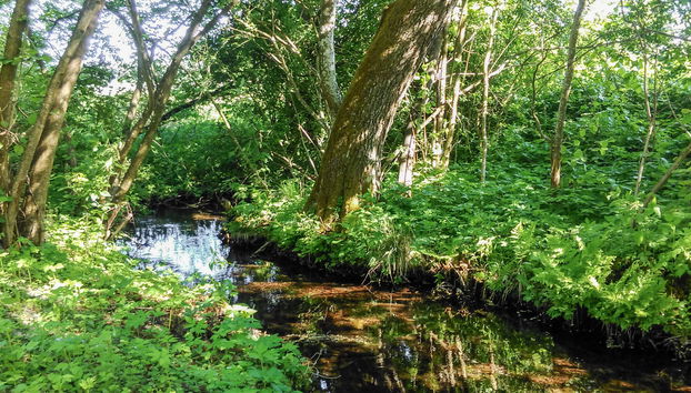 Zatylówka Dom na Wyspie - Foto 5, Place