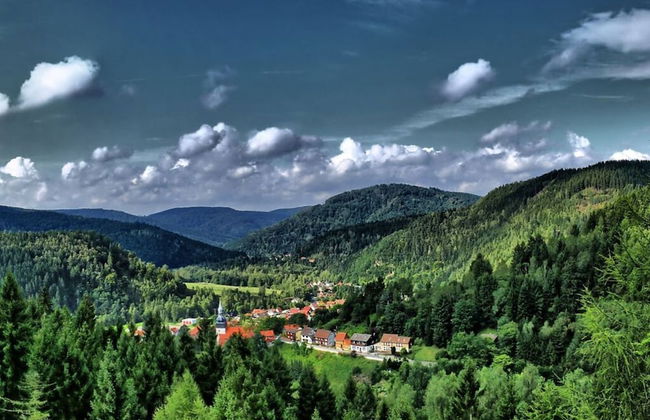 Holiday Home Mountain View - Foto 20