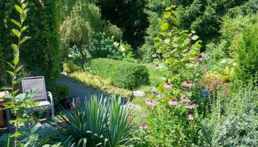 Ogród Pałacowy - Foto 3, Garden