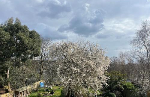 Lovely, large, light apartment - Foto 10