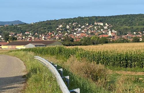 Gîte au Pied du Bischenberg - Foto 25