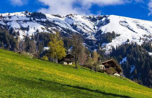 Les saisies-gîte les carolos - Foto 38