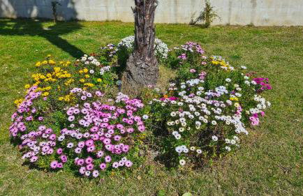 Casa Belfiore - Foto 42