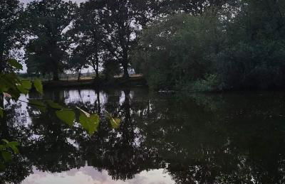 Kingfisher Lodge - Lakeside Lodge With Hot Tub - Foto 64