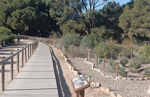 Bonito Apartamento 150 m de la playa La Mata - Foto 44