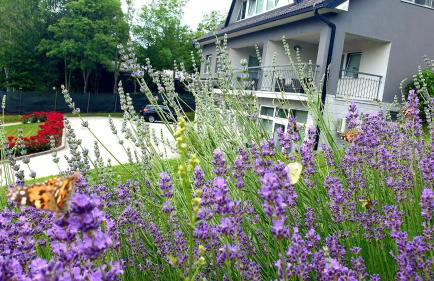 Apartmani Sanja - Foto 66