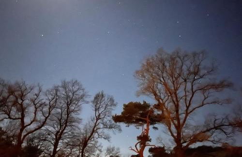 Stable Cottage, Gartocharn, Loch Lomond - Foto 34
