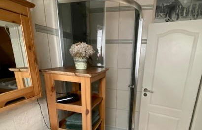 Phönix aus der Asche - Foto 15