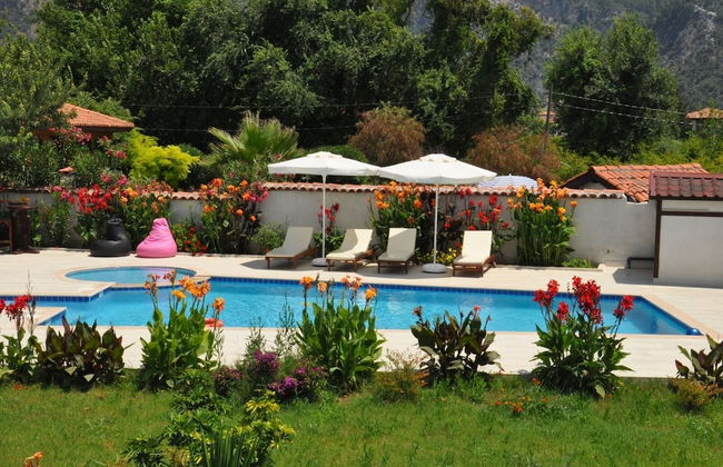 Beautiful 4-bed Villa Private Pools - Photo 16