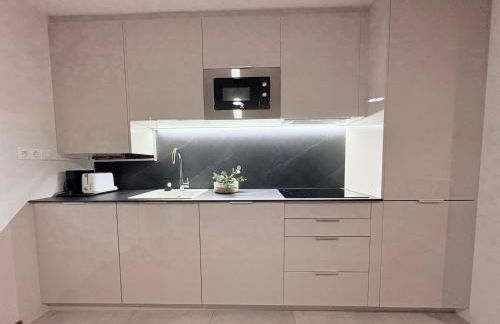 Mi trocito de Sabiñanigo, wifi y garaje - Foto 3