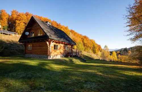 Chata na Kowalówkach - domek w górach - blisko szlaków i wyciągu - Foto 6