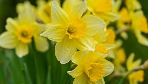 Charming 55m near hiking trails - Foto 2