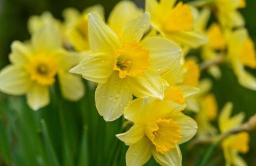 Charming 55m near hiking trails - Foto 2