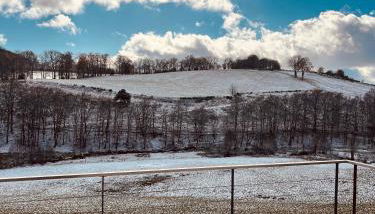 La Grange de Timon - Photo 3