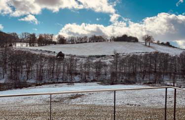 La Grange de Timon - Photo 3