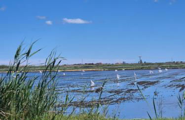 Casa Linda - Photo 11