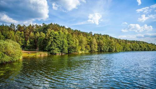 Ferienwohnung Rheinsberg - Foto 3