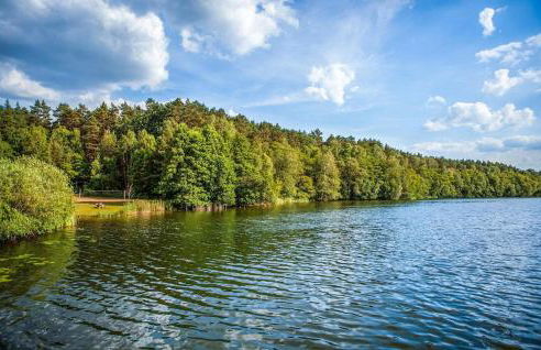 Ferienwohnung Rheinsberg - Foto 18