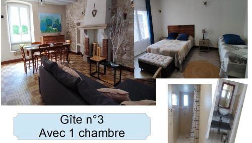 3 Gites proche Puy du fou - Foto 5