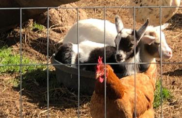 Amazing Loft on Horse Ranch - Foto 34