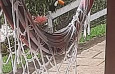 Casa de Campo em Teresópolis - Foto 11