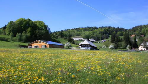 Bürschtehanse-Hof - Foto 2